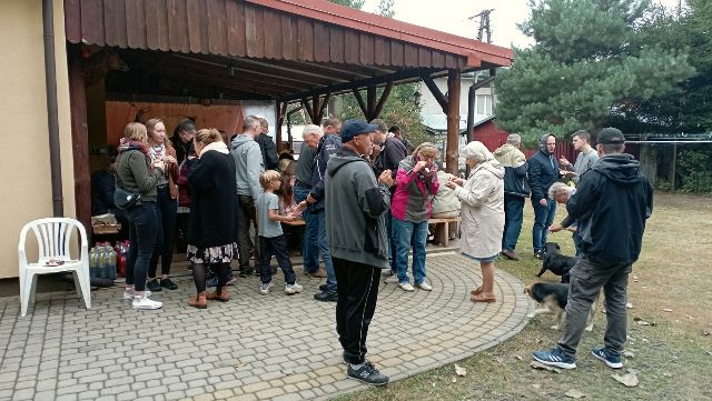 img20220910140203.jpg