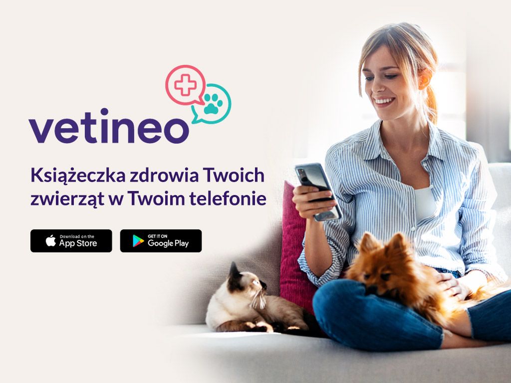 W Przychodni Neurovet Korzystamy Z Aplikacji Mobilnej Vetineo Neurovet Przychodnia 7393